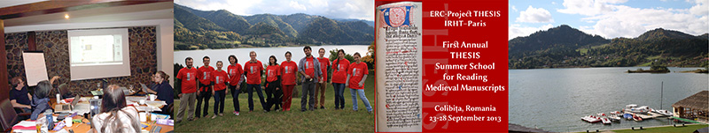 THESIS 2013 Colibita